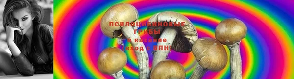 хмурый Верея